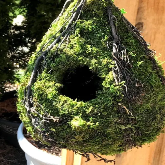 RAINDROP - Natural MOSS & Stick Birdhouse {3}