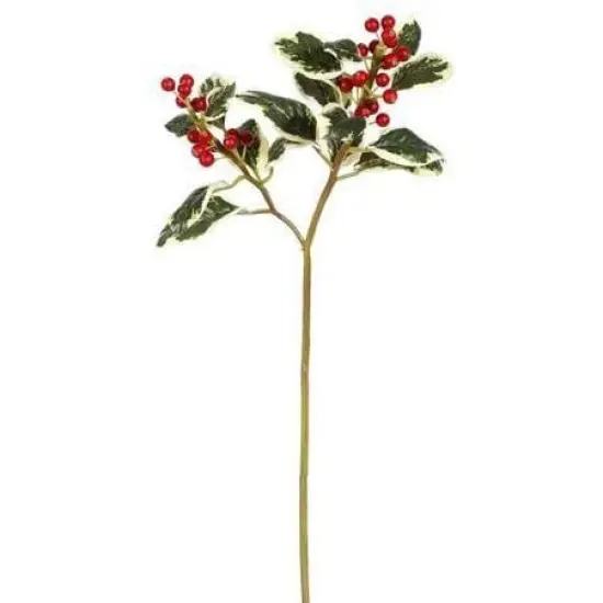 18" Variegated Faux Holly Stem {6}
