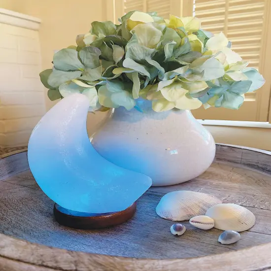 Himalayan Salt Lamp - Moon Light Natural Polished Stone White Moon {3}