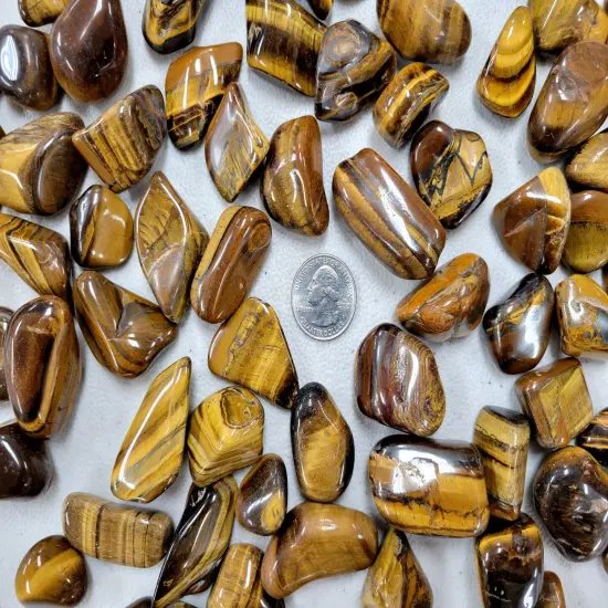 Bulk Tumbled Golden Tiger's Eye Crystal Stones - Size Medium - 1 inch to 2 inches {4}