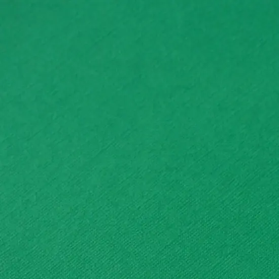 Core'dinations Core Foundations Cardstock 12"X12"-Holly Leaf {1}