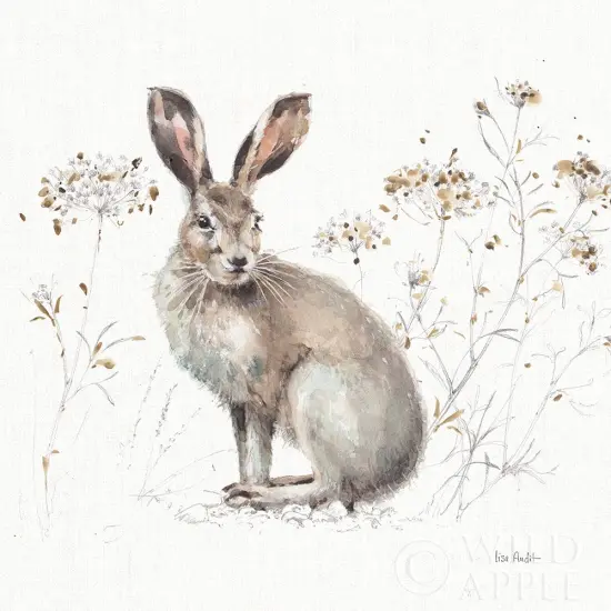 A Woodland Walk Xiii Poster Print by Lisa Audit - Item # VARPDX32677 {1}