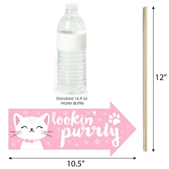 Big Dot of Happiness Funny Purr-fect Kitty Cat - Kitten Meow Baby Shower or Birthday Party Photo Booth Props Kit - 10 Piece {4}