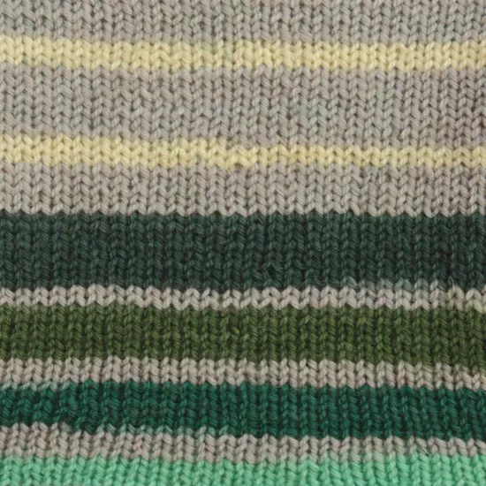 (Pack of 2) Patons Kroy Socks Yarn-Landscape Stripes {2}