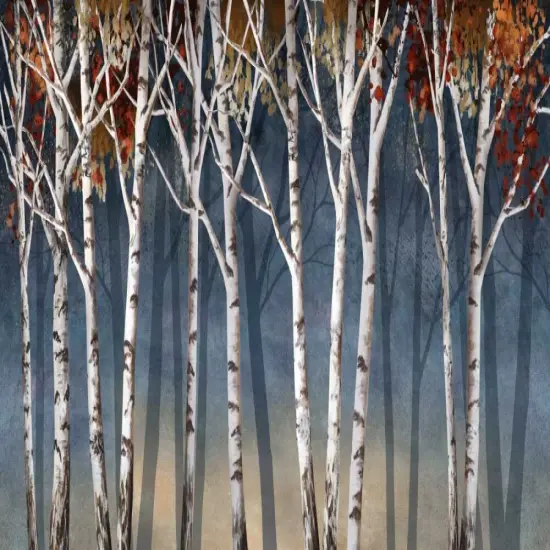 Birch Shadows Poster Print by Conrad Knutsen - Item # VARPDX14386 {2}