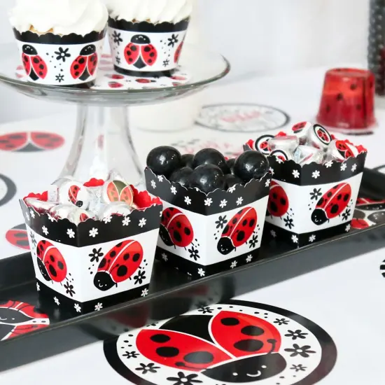 Big Dot of Happiness Happy Little Ladybug - Party Mini Favor Boxes - Baby Shower or Birthday Party Treat Candy Boxes - Set of 12 {7}