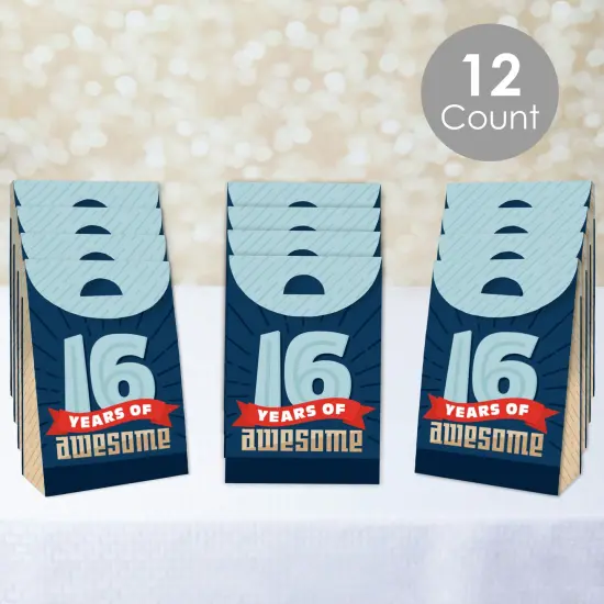 Big Dot of Happiness Boy 16th Birthday - Sweet Sixteen Birthday Gift Favor Bags - Party Goodie Boxes - Set of 12 {3}