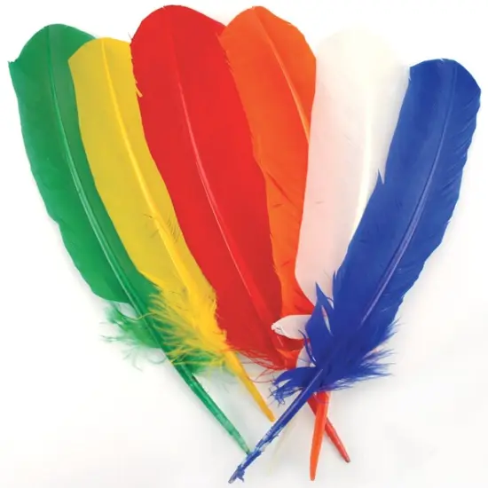 Zucker Turkey Quill Feathers 6/Pkg-Primary {3}