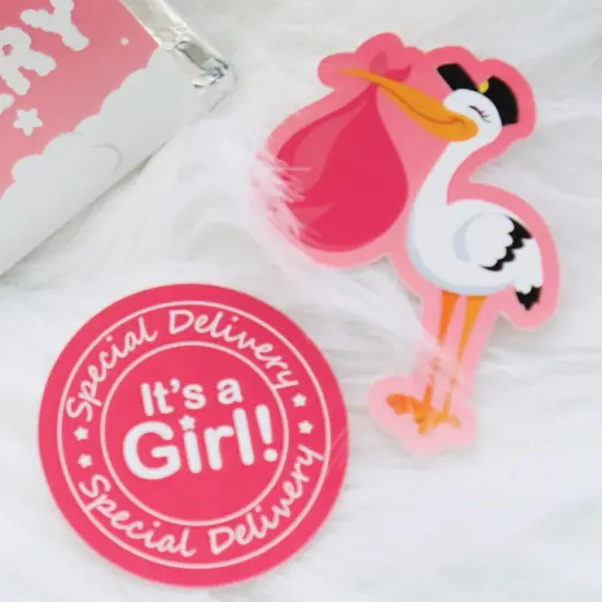 Big Dot of Happiness Girl Special Delivery - DIY Shaped Pink It's A Girl Stork Baby Shower Cut-Outs - 24 Count {6}