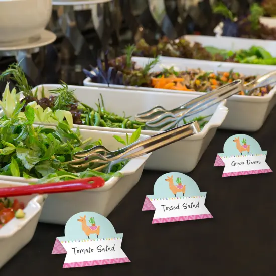 Big Dot of Happiness Whole Llama Fun - Llama Fiesta Baby Shower or Birthday Party Tent Buffet Card - Table Setting Name Place Cards - Set of 24 {4}