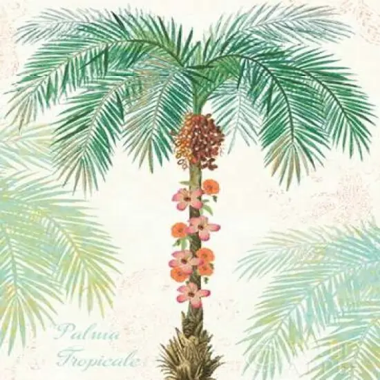 Flamingo Tropicale III Poster Print bySue Schlabach - Item # VARPDX24973 {2}