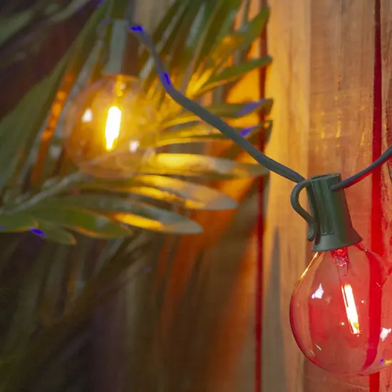 Northlight LED G50 Globe Christmas String Lights - Multi Color - 10" Green Wire - 10ct {4}