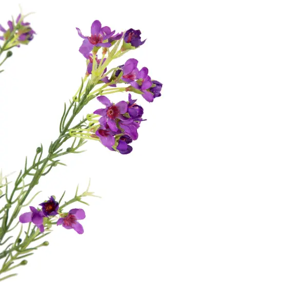 Allstate 27" Purple Waxflower Artificial Silk Floral Spray {4}