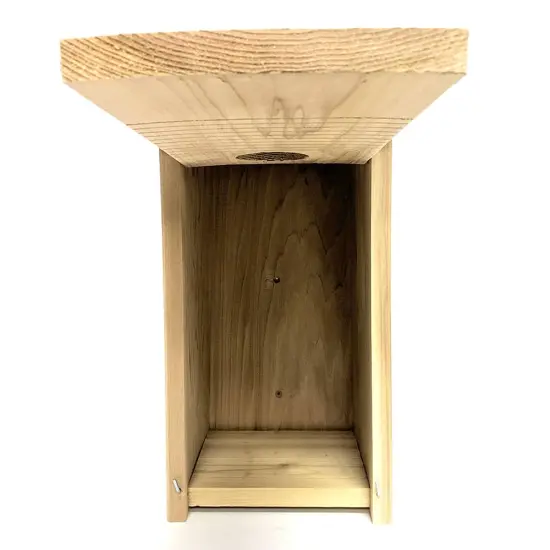 Screech Owl And American Kestrel Nest Box {7}