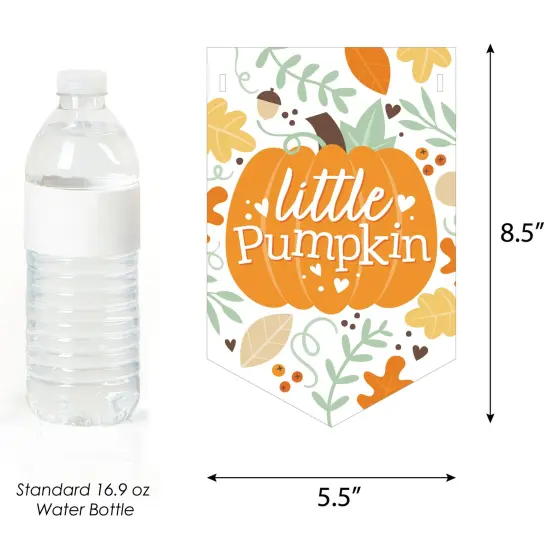 Big Dot of Happiness Little Pumpkin - Fall Birthday Party Bunting Banner - Party Decorations - Happy Birthday {3}