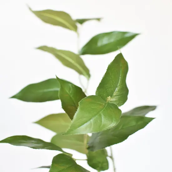 36" Faux Lemon Leaf Branch Stem {3}