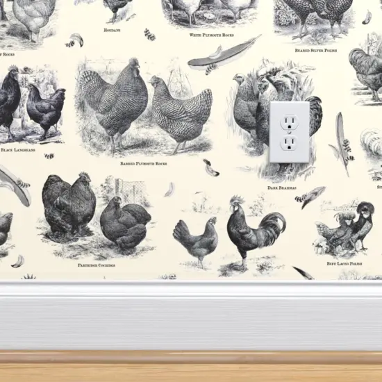 Pre-Pasted Wallpaper 2FT Wide Poultry Cream Black Toile Vintage Antique Victorian Historical Chicken Custom Pre-pasted Wallpaper by Spoonflower {5}