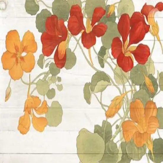 Summer Nasturtiums Cottage Poster Print by Wild Apple Portfolio - Item # VARPDX32061 {1}