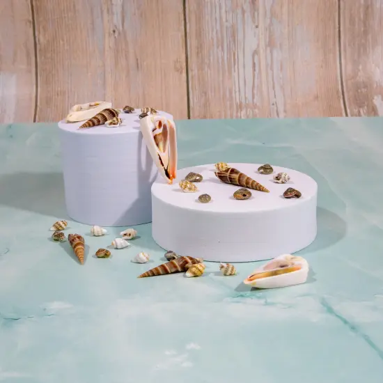 6 Packs of Shell Chips - Natural - 2 x 8" Strand {3}