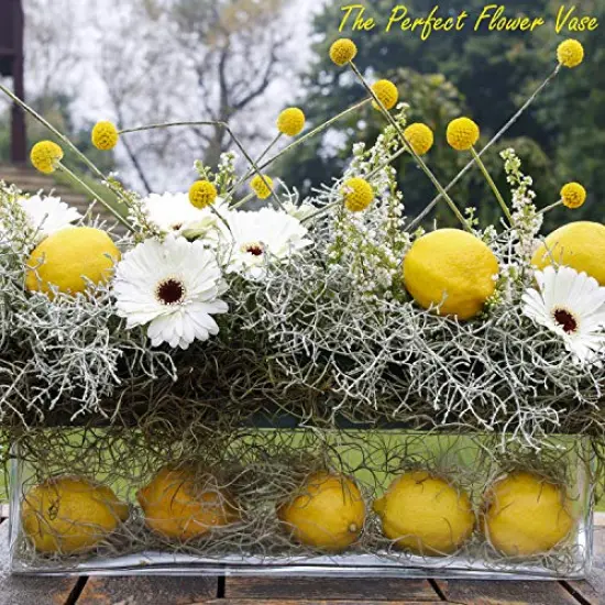 Glass Rectangle Vase (H:4" Open:16"x4") | Multiple Size Choices Rectangular Flower Vase Centerpieces | Decorative Wedding Centerpiece Vases | Glass Terrarium Container {4}