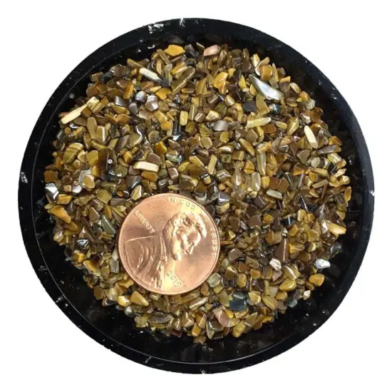 Gold Tiger Eye Tiny Crystal Chips &ndash; Size 00 {2}