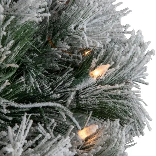 Northlight Pre-Lit Snowy Bristle Pine Artificial Christmas Tree - 6' - Clear Lights Green {5}