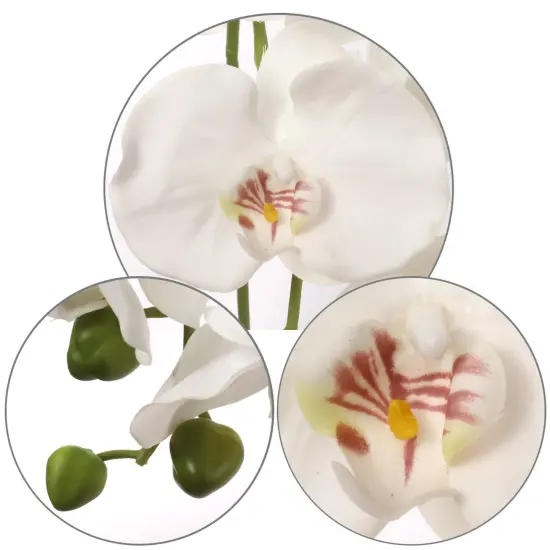 4-Pack: Real Touch White Phalaenopsis Orchid Stem, Floral Home by Artificial Flowers {2}
