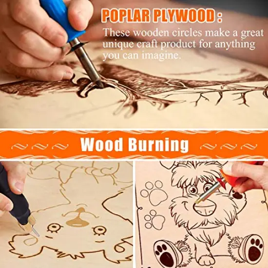 5 Pieces Round Wood Discs for Crafts, Audab14 Inch Wood Circles Unfinished Wood Rounds Plaque for Door Hanger, Door Design, Wood Burning {5}