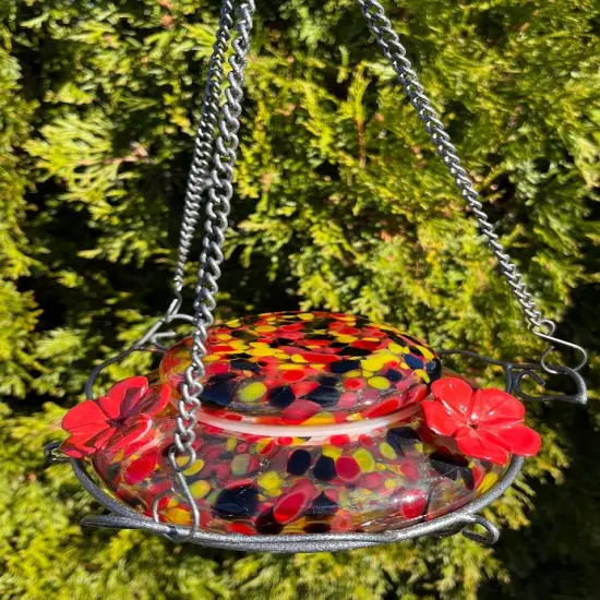 Hummingbird Feeder - Carnival Glass {3}