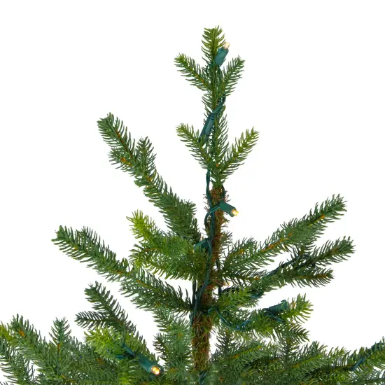 Northlight Real Touch™️ Pre-Lit Full Northern Pine Artificial Christmas Tree - 6.5' - Clear LED Lights Green {6}