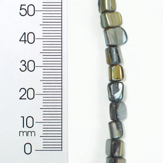 6 Packs of Tinted Shell Nugget Gray 2x8" Strand {1}