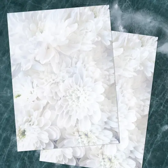 Great Papers! White Soft Petals Stationery Letterhead, Invitations and Announcements, Printer Friendly, 8.5"x11", 80 Pack {3}