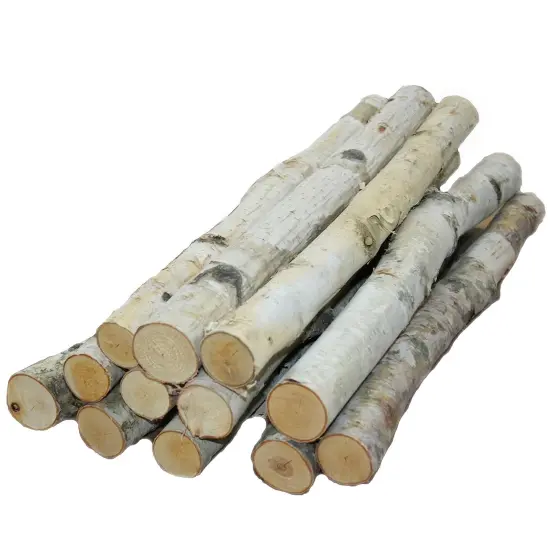 Wilson Decorative White Birch Logs, Natural Bark Wood Home Decor (Set of 12) - 15.5"-17.5" Length 1"-1.5" Dia. {1}