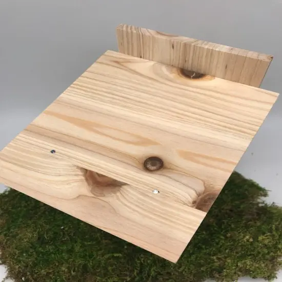 Kids DIY Birdhouse Kit - Inside Viewing Window {5}