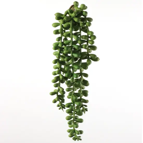 13" Artificial Hanging Senecio Plants, Box of 24 - Lifelike Greenery, Indoor/Outdoor Use, Perfect for Home, Office & Event D&eacute;cor - Year-Round Accent, Floral Home by Artificial Flowers {1}