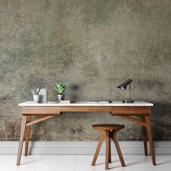Rustic Concrete Wallpaper Wall Decor Modern Minimalistic {2}