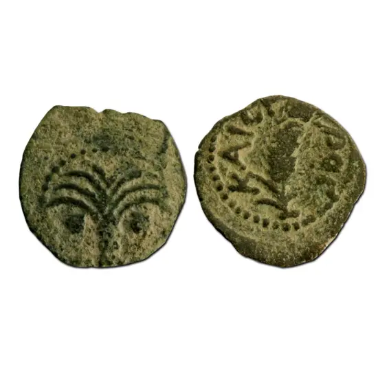 First Days of Christmas Ancient Coin Collection {2}