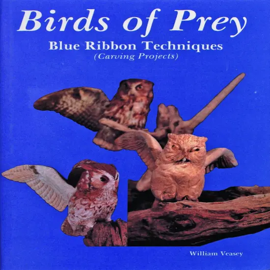Birds of Prey, Blue Ribbon Techniques {1}