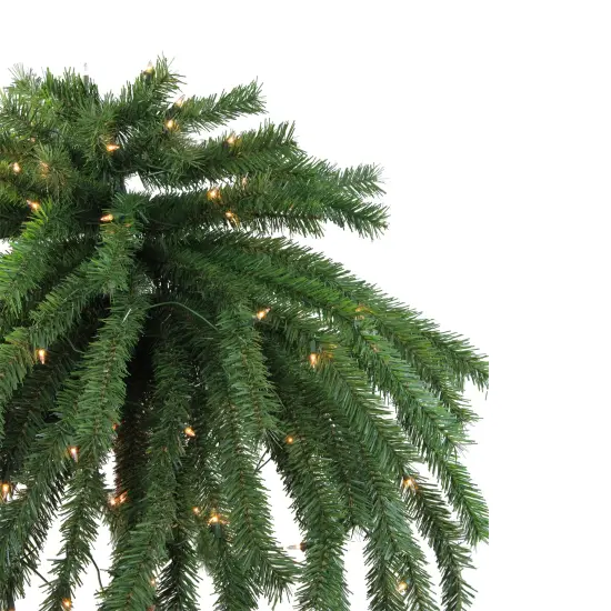 Northlight Pre-Lit Artificial Palm Tree - 6' - Clear Lights Green {3}