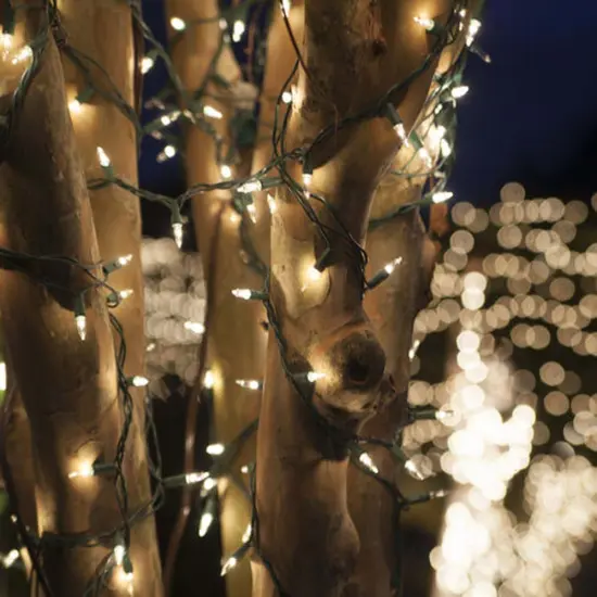 82w Commercial 200 Clear Mini Lights Lamp Lock Green Wire 4.5-in Spacing {5}