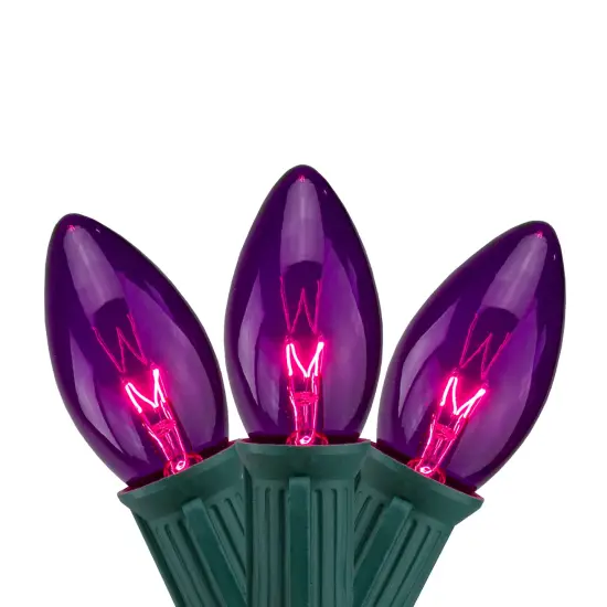 Northlight Transparent C9 Christmas String Lights - Purple - 24' Green Wire - 25ct {1}