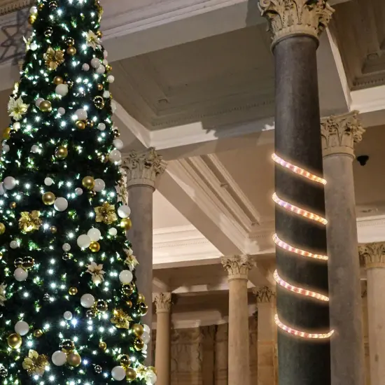 Northlight Flexible Incandescent Christmas Rope Light - Clear - 18' Clear Wire {5}