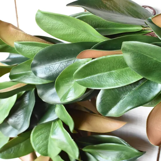 27" Faux Magnolia Leaf Wreath {2}
