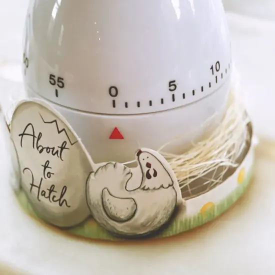 About to Hatch Kitchen Egg Timer {2}