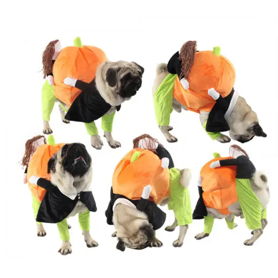 Pumpkin Mon - Halloween Pet Dog Costume {2}