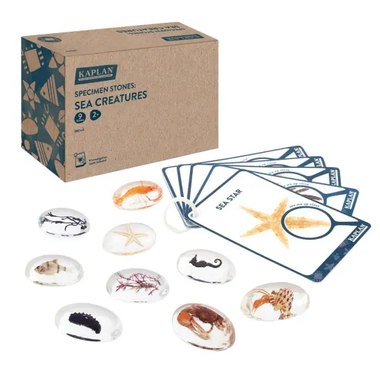 Kaplan Early Learning Company Specimen Stones: Sea Creatures - 9 Pieces {2}