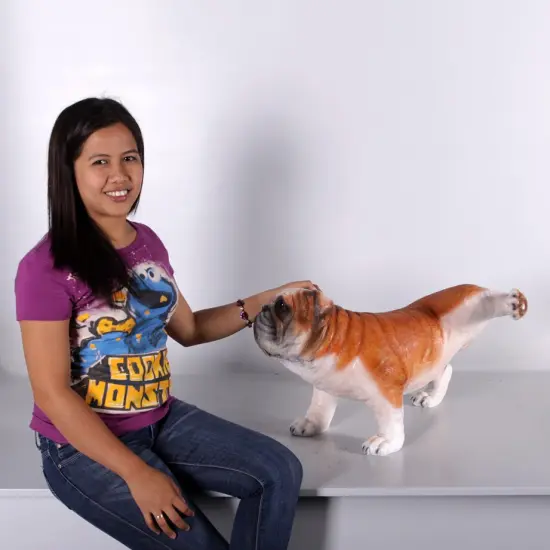 Bulldog Peeing Life Size Statue {3}