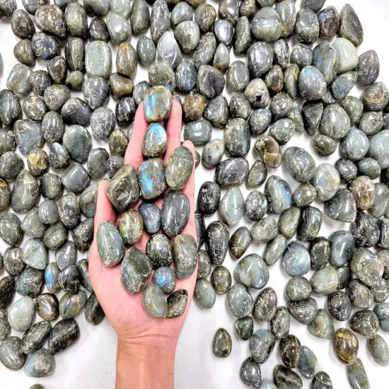 Tumbled Labradorite Crystals -3/4 inch to 1.5 inches {1}
