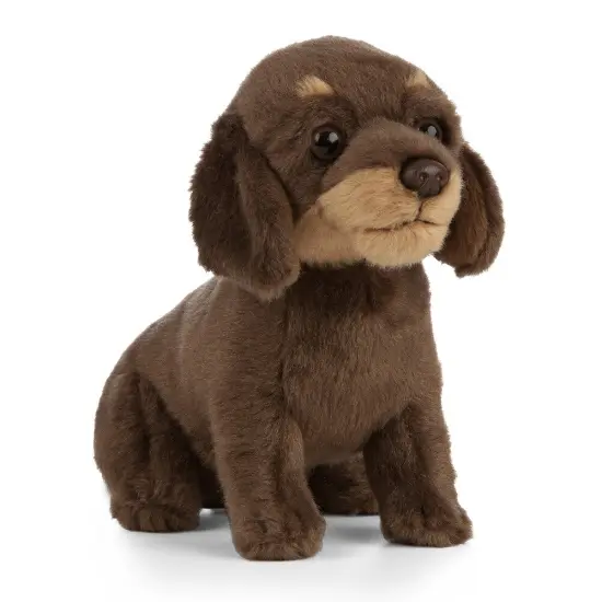 Dachshund Puppy by LIVING NATURE - 6.5" {1}