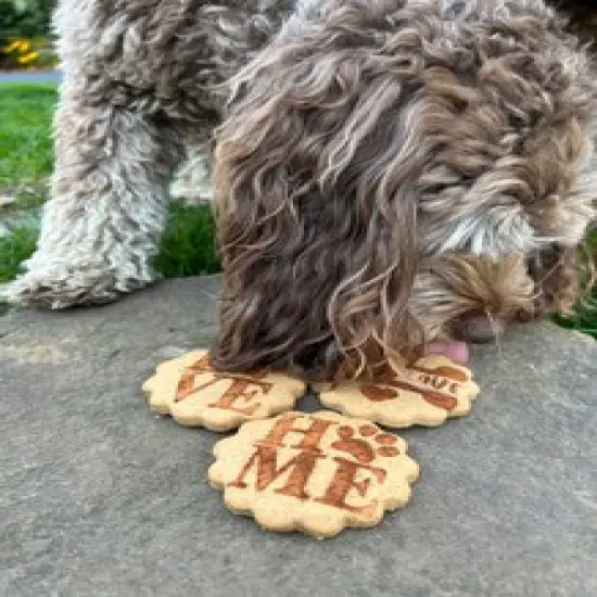 Puppy Love Cookie Stencil Set | C1080 by Designer Stencils | Stencils for Royal Icing, Airbrush, Dusting Powder | {6}